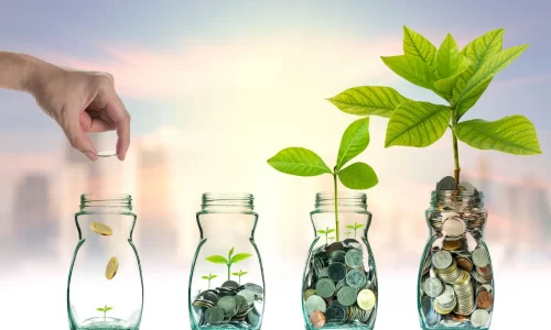 Del Ahorro al Crecimiento